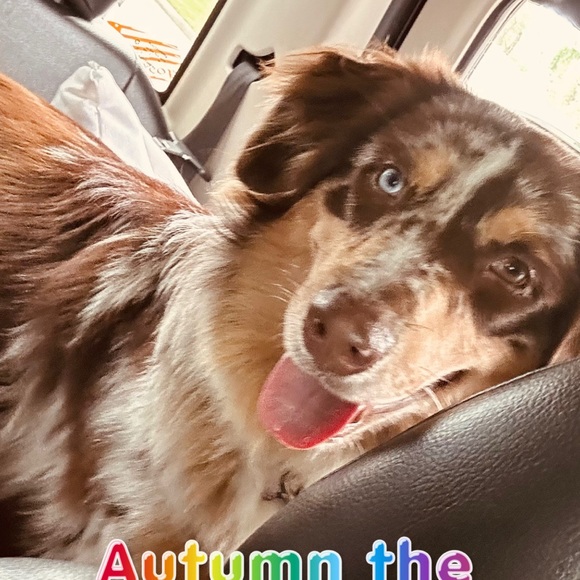 Meet your Posher, Melissa - Picture 6 of 9